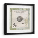 Biologia Marina Ii - Vision Studio | Cuadro decorativo de Canvas Lab