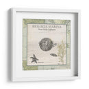 Biologia Marina Ii - Vision Studio | Cuadro decorativo de Canvas Lab