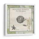 Biologia Marina Ii - Vision Studio | Cuadro decorativo de Canvas Lab