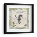 Biologia Marina Iii - Vision Studio | Cuadro decorativo de Canvas Lab