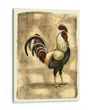 Gallo Toscana I - D. Bookman | Cuadro decorativo de Canvas Lab