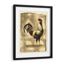 Gallo Toscana I - D. Bookman | Cuadro decorativo de Canvas Lab