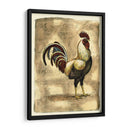 Gallo Toscana I - D. Bookman | Cuadro decorativo de Canvas Lab