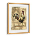 Gallo Toscana I - D. Bookman | Cuadro decorativo de Canvas Lab