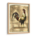 Gallo Toscana I - D. Bookman | Cuadro decorativo de Canvas Lab