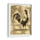 Gallo Toscana I - D. Bookman | Cuadro decorativo de Canvas Lab
