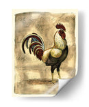 Gallo Toscana I - D. Bookman | Cuadro decorativo de Canvas Lab