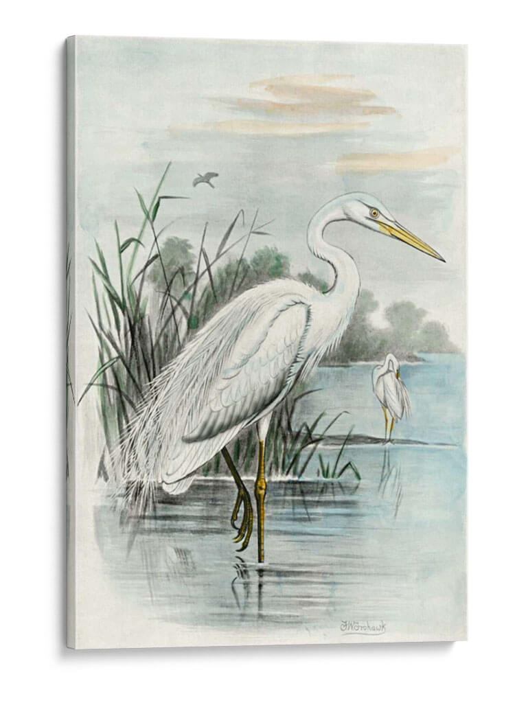 Garza Blanca De Gran Tamaño | Cuadro decorativo de Canvas Lab