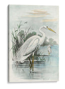 Garza Blanca De Gran Tamaño | Cuadro decorativo de Canvas Lab