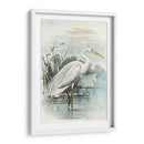 Garza Blanca De Gran Tamaño | Cuadro decorativo de Canvas Lab