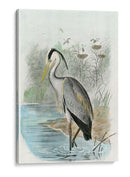 Heron Común De Gran Tamaño | Cuadro decorativo de Canvas Lab