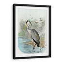Heron Común De Gran Tamaño | Cuadro decorativo de Canvas Lab