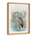 Heron Común De Gran Tamaño | Cuadro decorativo de Canvas Lab