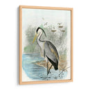 Heron Común De Gran Tamaño | Cuadro decorativo de Canvas Lab