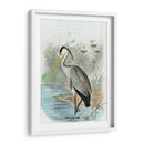 Heron Común De Gran Tamaño | Cuadro decorativo de Canvas Lab