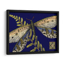 Mini Libélula Shimming Iii - Vision Studio | Cuadro decorativo de Canvas Lab