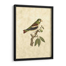 Selby Birds V - John Selby | Cuadro decorativo de Canvas Lab