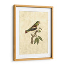 Selby Birds V - John Selby | Cuadro decorativo de Canvas Lab
