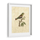 Selby Birds V - John Selby | Cuadro decorativo de Canvas Lab
