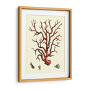 Coral Rojo I - Vision Studio | Cuadro decorativo de Canvas Lab