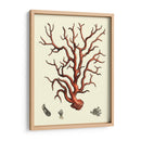 Coral Rojo I - Vision Studio | Cuadro decorativo de Canvas Lab