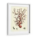 Coral Rojo I - Vision Studio | Cuadro decorativo de Canvas Lab