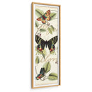 Vuelo De Mariposa Ii - Vision Studio | Cuadro decorativo de Canvas Lab