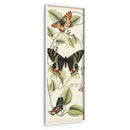 Vuelo De Mariposa Ii - Vision Studio | Cuadro decorativo de Canvas Lab