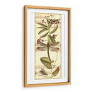 Recolección De Libélulas Ii - Vision Studio | Cuadro decorativo de Canvas Lab