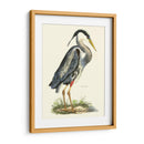 Gran Garza Azul - John Selby | Cuadro decorativo de Canvas Lab