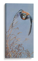 Iluminación De Pradera - Carolyn Mock | Cuadro decorativo de Canvas Lab