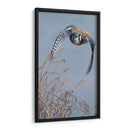 Iluminación De Pradera - Carolyn Mock | Cuadro decorativo de Canvas Lab