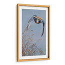 Iluminación De Pradera - Carolyn Mock | Cuadro decorativo de Canvas Lab