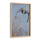 Iluminación De Pradera - Carolyn Mock | Cuadro decorativo de Canvas Lab