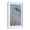 Iluminación De Pradera - Carolyn Mock | Cuadro decorativo de Canvas Lab