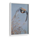 Iluminación De Pradera - Carolyn Mock | Cuadro decorativo de Canvas Lab