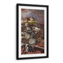 Codorniz - Carolyn Mock | Cuadro decorativo de Canvas Lab