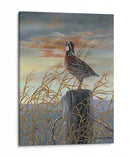 Codorniz En Un Post - Carolyn Mock | Cuadro decorativo de Canvas Lab