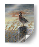 Codorniz En Un Post - Carolyn Mock | Cuadro decorativo de Canvas Lab