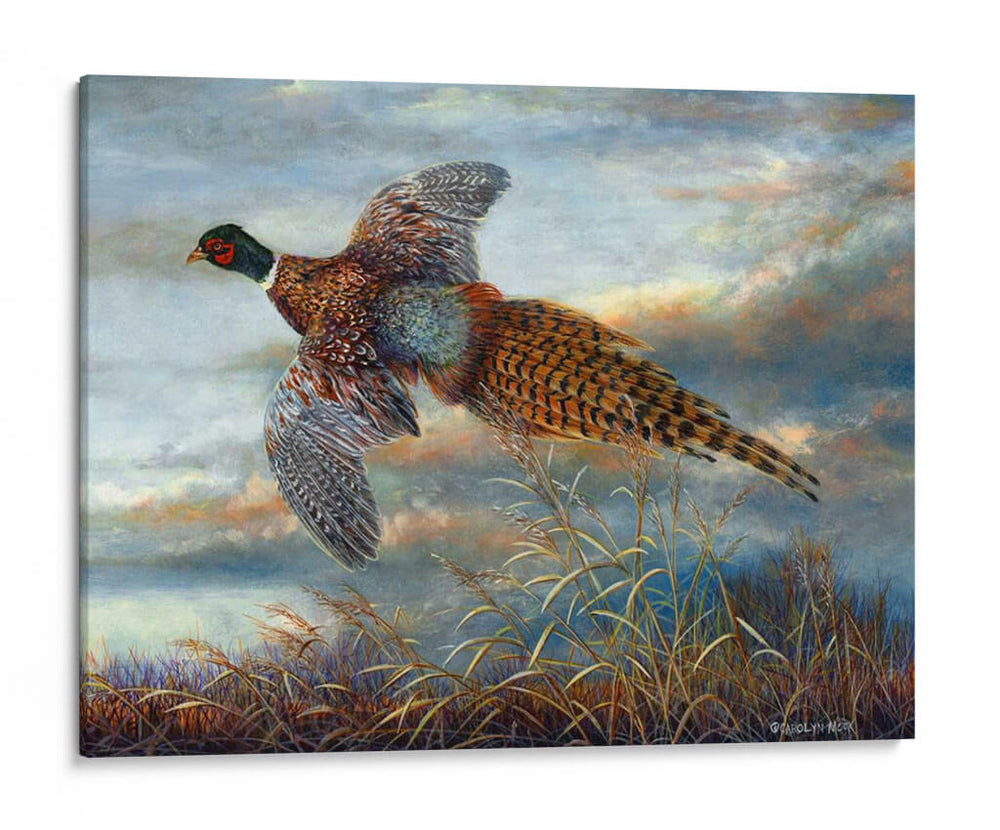 Tomando Vuelo - Carolyn Mock | Cuadro decorativo de Canvas Lab