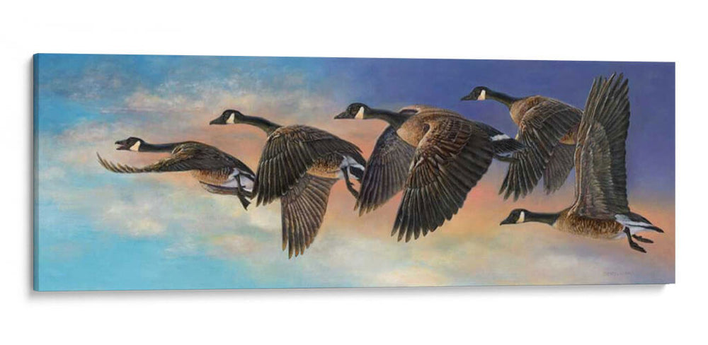 Ascenso - Carolyn Mock | Cuadro decorativo de Canvas Lab