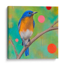 Misterios Del Universo I - Bridget G. Evans | Cuadro decorativo de Canvas Lab