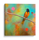 Misterios Del Universo Ii - Bridget G. Evans | Cuadro decorativo de Canvas Lab