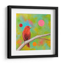 Misterios Del Universo Vii - Bridget G. Evans | Cuadro decorativo de Canvas Lab