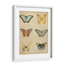 Mariposa Varietal I - Megan Meagher | Cuadro decorativo de Canvas Lab