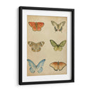 Mariposa Varietal Ii - Megan Meagher | Cuadro decorativo de Canvas Lab