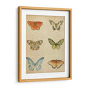 Mariposa Varietal Ii - Megan Meagher | Cuadro decorativo de Canvas Lab