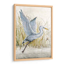 Heron Sanctuary I - Tim OToole | Cuadro decorativo de Canvas Lab