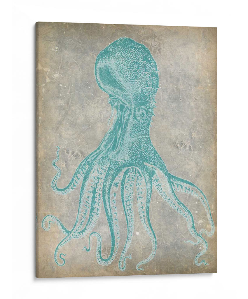 Spa Octopus Ii - Jennifer Goldberger | Cuadro decorativo de Canvas Lab
