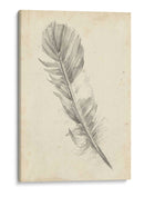 Bosquejo De Plumas I - Ethan Harper | Cuadro decorativo de Canvas Lab